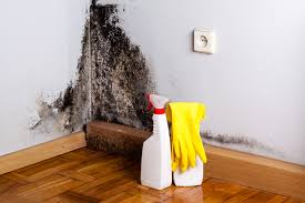 Mold Remediation for Rental Properties in Wormleysburg, PA